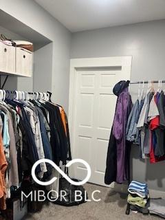 spacious closet with carpet flooring