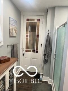 interior space featuring vanity, wood-type flooring, and an enclosed shower