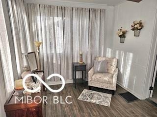 sitting room featuring dark hardwood / wood-style floors