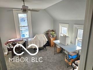 additional living space with carpet flooring, a wealth of natural light, and lofted ceiling