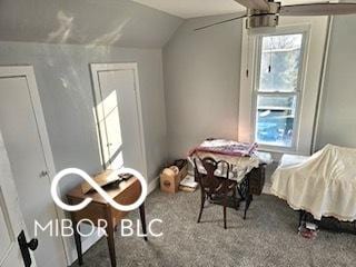 interior space featuring ceiling fan and lofted ceiling