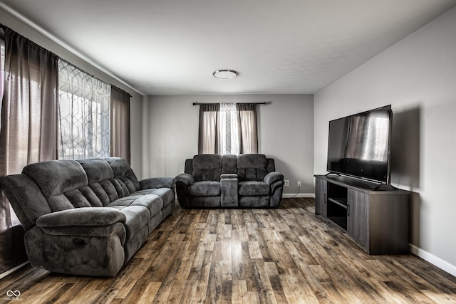 living room featuring wood-type flooring