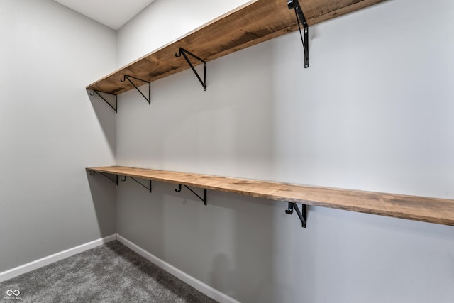 9462 N Rushville Rd, Knightstown, IN 46148 - walk in closet featuring dark colored carpet