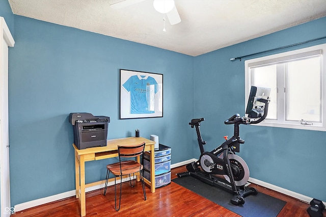 workout room with hardwood / wood-style flooring and ceiling fan