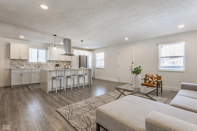 living room featuring sink, a textured ceiling, and dark hardwood / wood-style floors