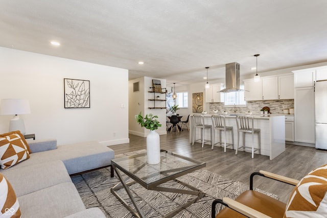 living room featuring sink and dark wood-type flooring