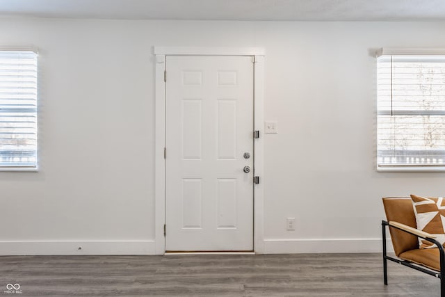 foyer with hardwood / wood-style flooring and a wealth of natural light