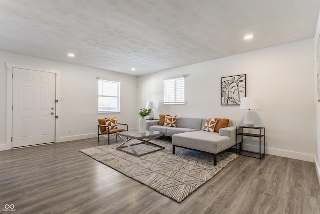 living room with hardwood / wood-style flooring and a textured ceiling