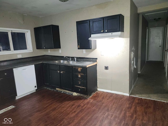 kitchen with sink, white dishwasher, and dark hardwood / wood-style floors