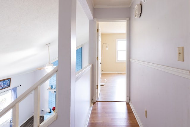 hallway with dark hardwood / wood-style floors and ornamental molding