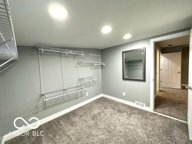 spacious closet featuring carpet