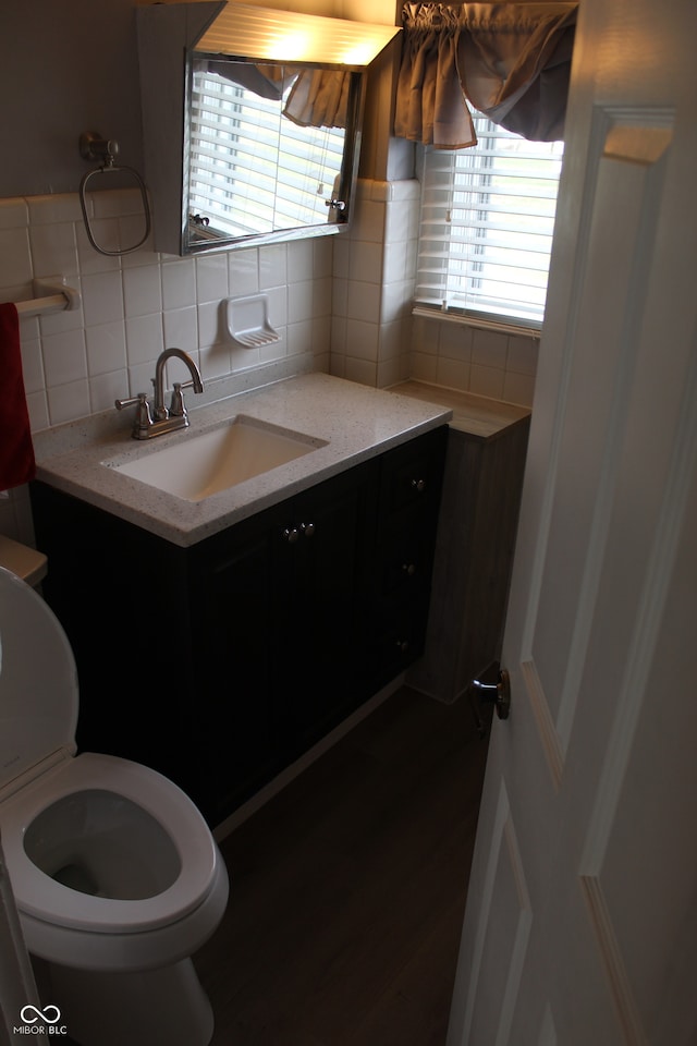 bathroom featuring vanity, wood-type flooring, backsplash, and plenty of natural light