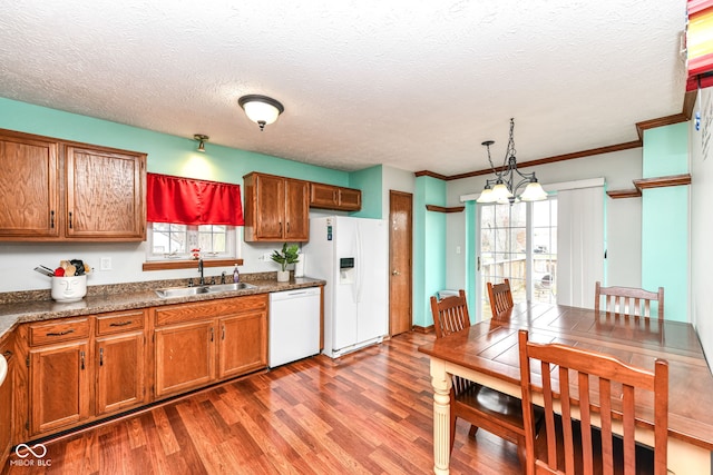 kitchen with pendant lighting, hardwood / wood-style floors, a healthy amount of sunlight, and white appliances