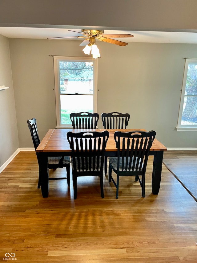 dining space with ceiling fan, a healthy amount of sunlight, and light wood-type flooring