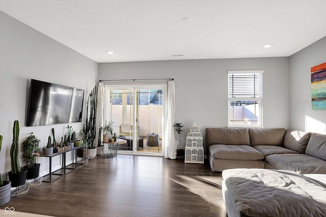 living room with dark wood-type flooring