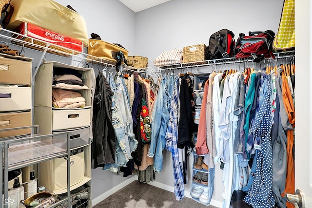 walk in closet with carpet flooring