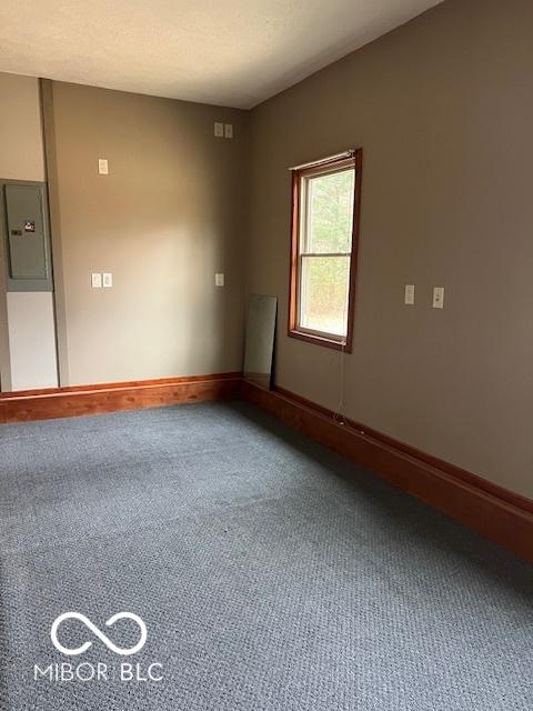 empty room featuring carpet flooring and electric panel