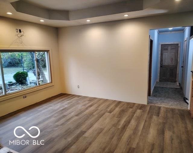 empty room featuring a raised ceiling and wood-type flooring