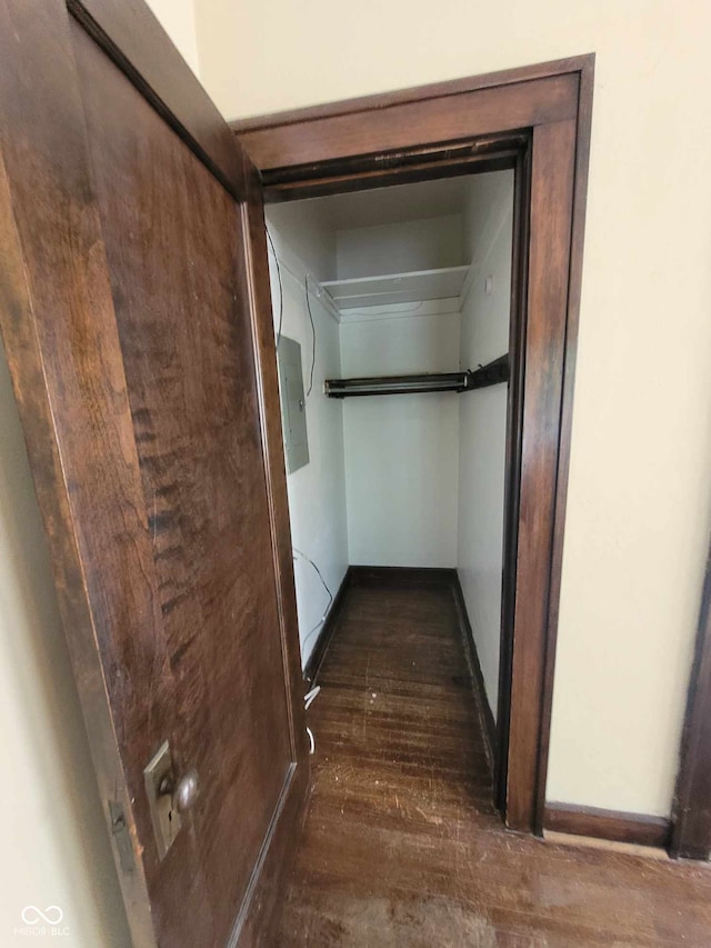 walk in closet featuring electric panel and dark wood-type flooring