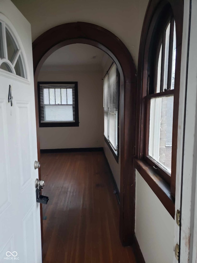 hall featuring dark hardwood / wood-style floors