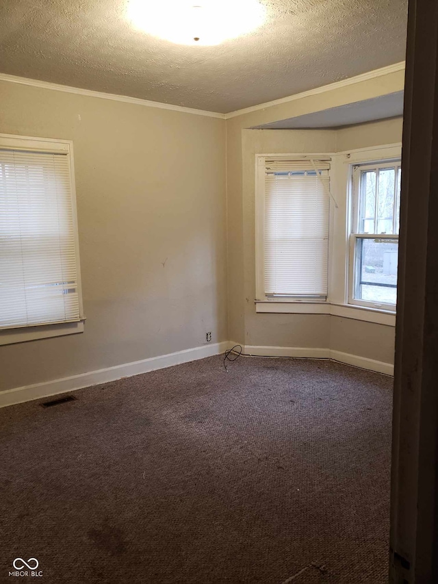 carpeted empty room featuring crown molding and a textured ceiling