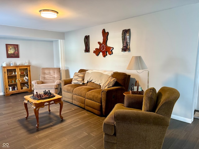 living room with hardwood / wood-style floors