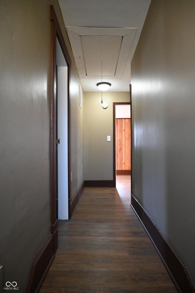 hall featuring dark wood-type flooring