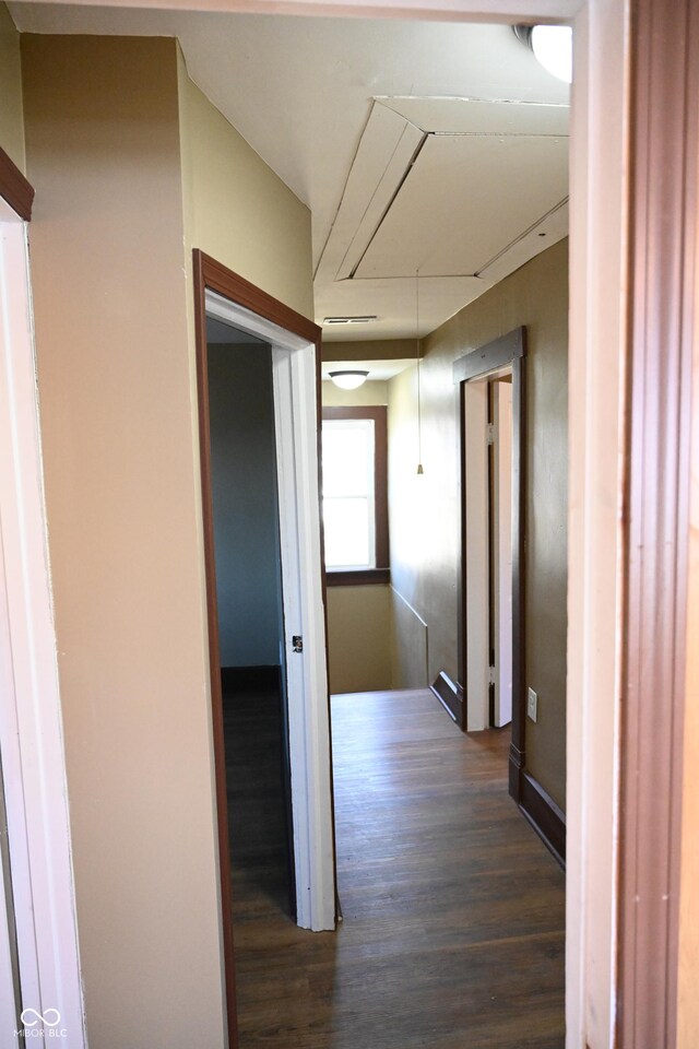 hallway with dark hardwood / wood-style floors