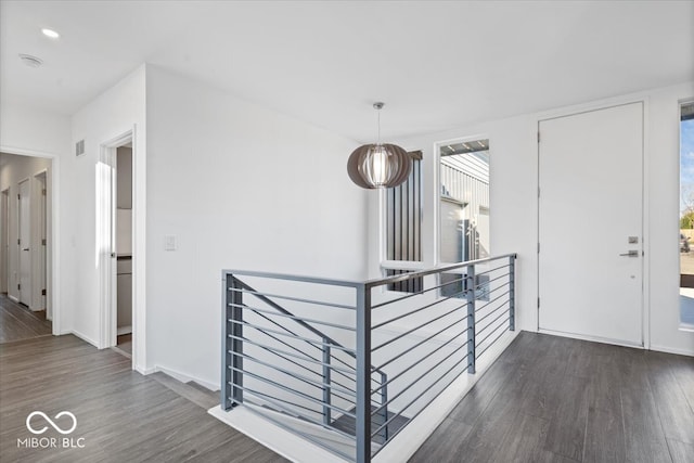 foyer entrance with dark hardwood / wood-style flooring