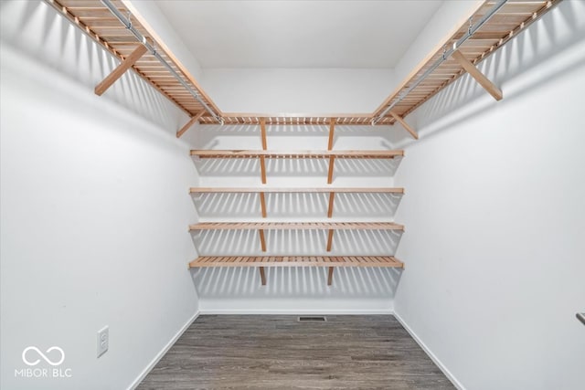 walk in closet with dark wood-type flooring