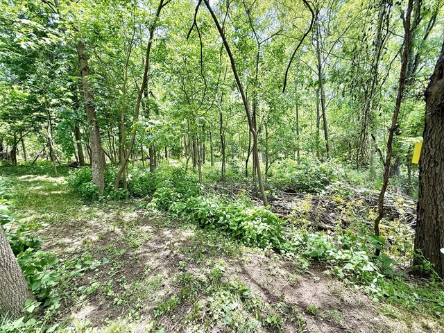 7650 Clarion Dr, Indianapolis, IN 46236 - view of wooded area