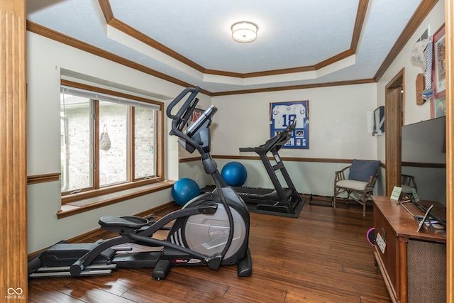 exercise area with a tray ceiling, crown molding, and dark hardwood / wood-style floors