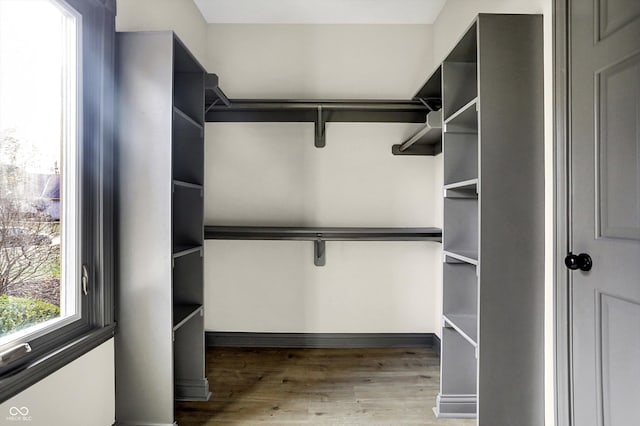 spacious closet with wood-type flooring