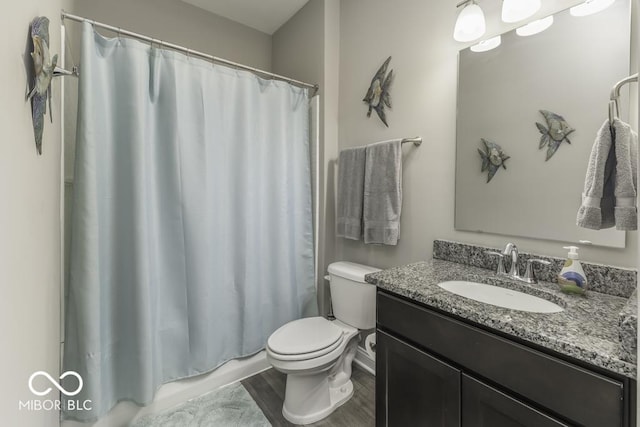 bathroom featuring vanity, toilet, and wood-type flooring