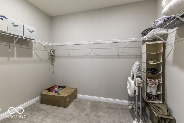 spacious closet with carpet flooring