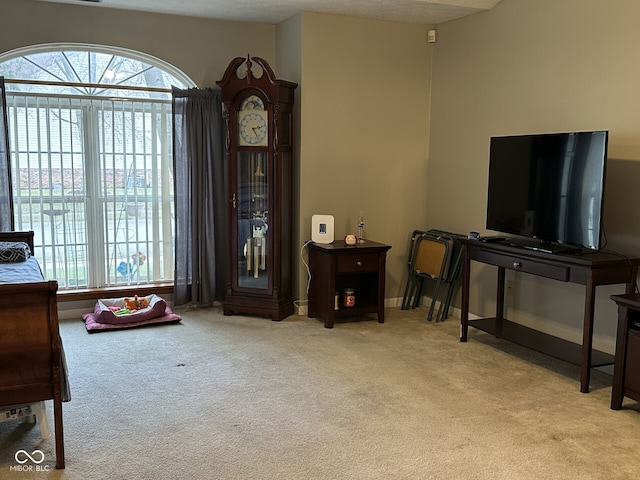 sitting room with light colored carpet and a textured ceiling