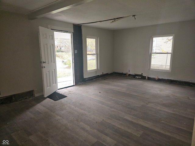 foyer with plenty of natural light and dark wood-type flooring