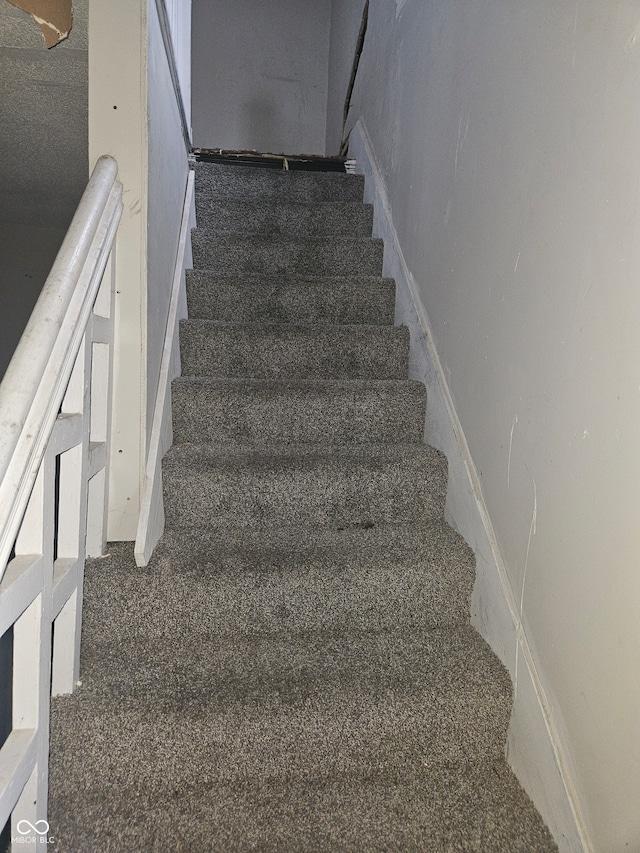 stairway featuring carpet