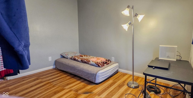 bedroom with hardwood / wood-style floors