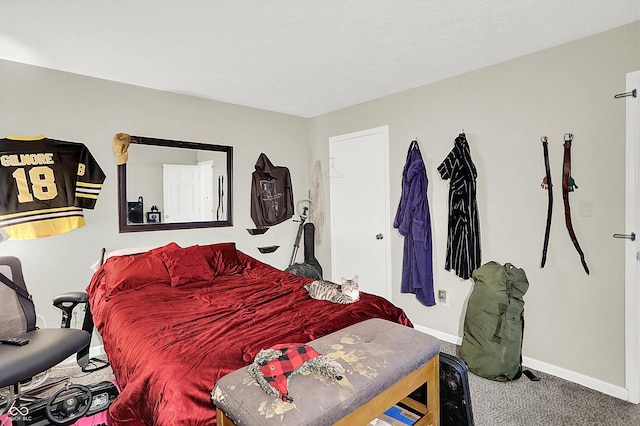 209207 Winters Way, Carthage, IN 46115 - photo 16