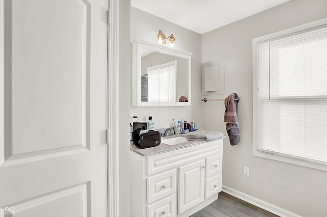 bathroom featuring electric panel, vanity, a healthy amount of sunlight, and wood-type flooring