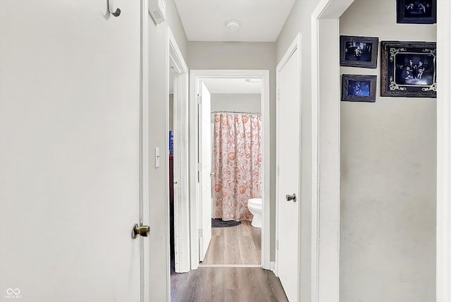 hallway with hardwood / wood-style flooring