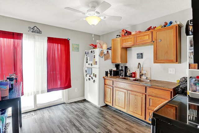 kitchen with a wealth of natural light, sink, ceiling fan, and stove