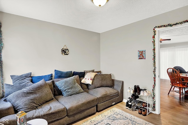 living room with hardwood / wood-style flooring and a textured ceiling