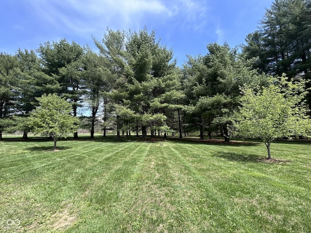 9695 S Houston Rd, Freetown, IN 47235 - view of yard