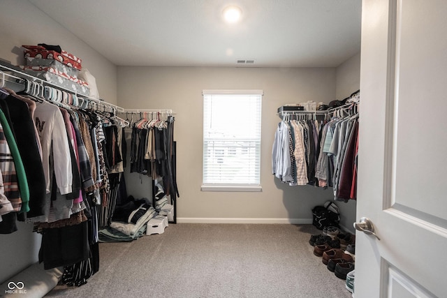 spacious closet with carpet