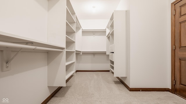 spacious closet with light carpet