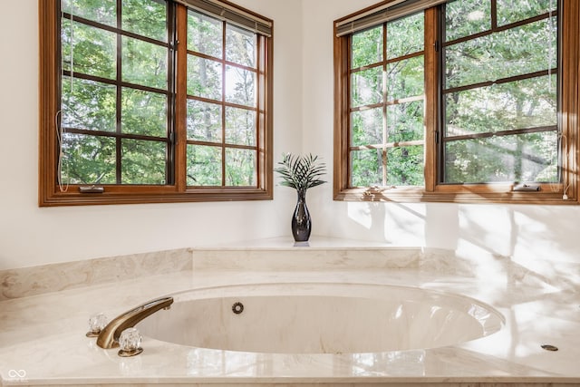 full bathroom featuring a garden tub and a wealth of natural light