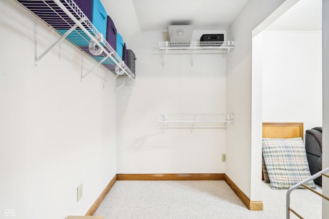 spacious closet with carpet floors