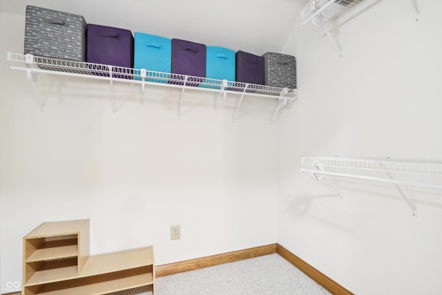 walk in closet featuring carpet floors